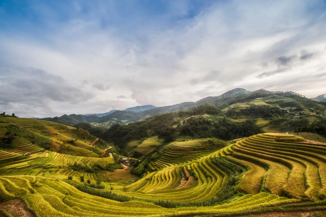省煤器改造方案：提升德州地区锅炉热效率的节能实践